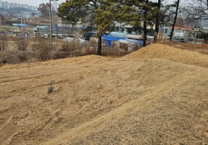 사진 01