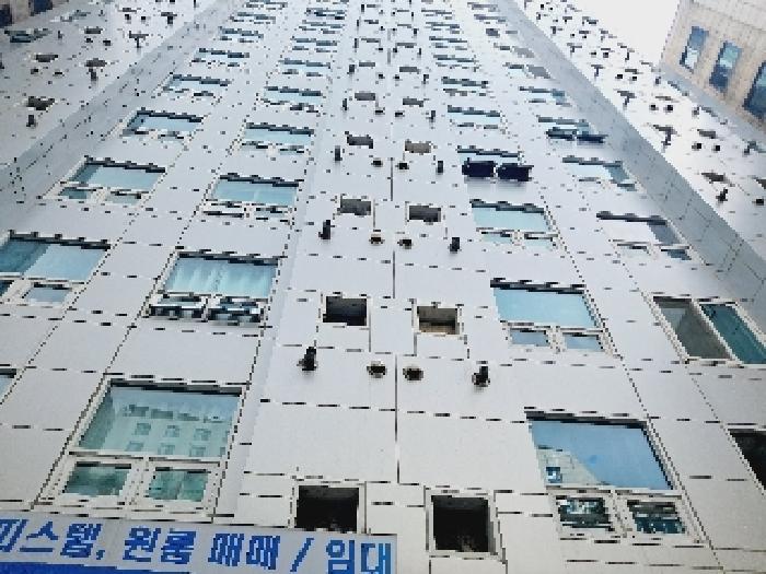 사진 02