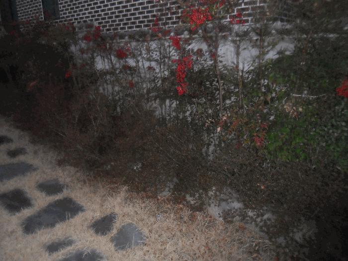 사진 08