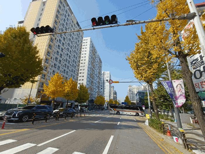 사진 05