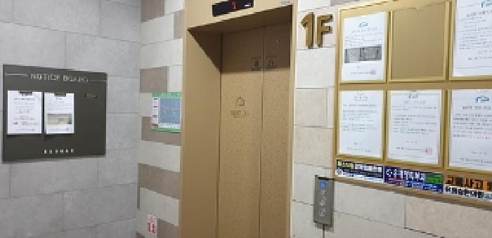 사진 06