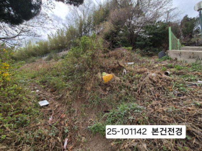 사진 08