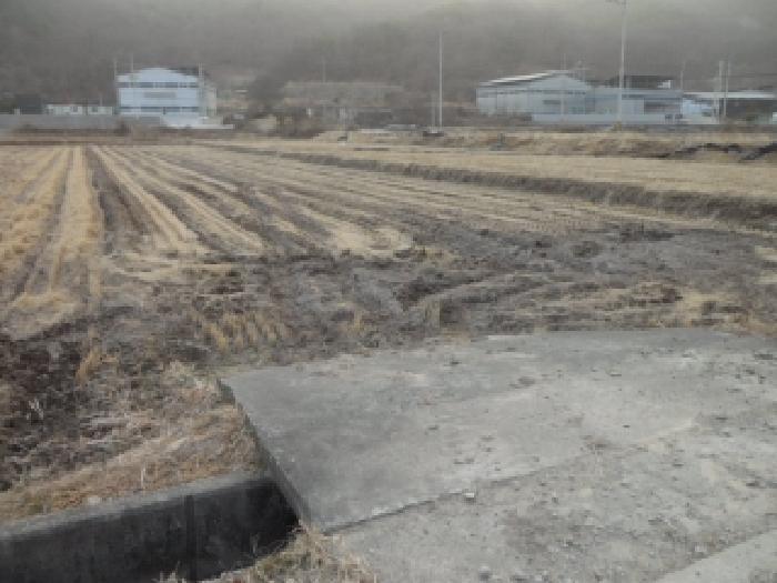 사진 03