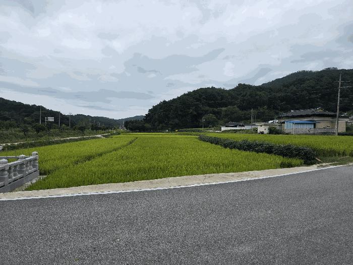 사진 02
