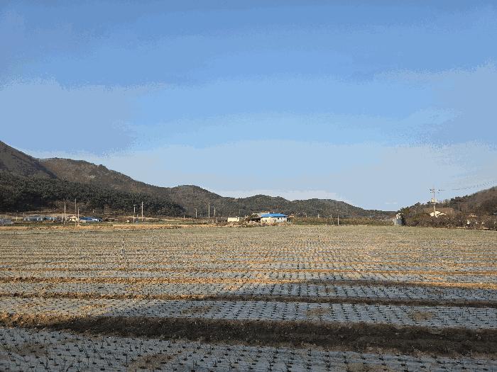 사진 02