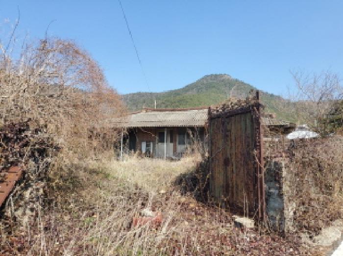 사진 02