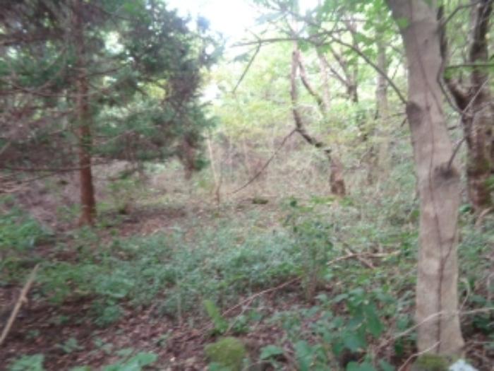 사진 04