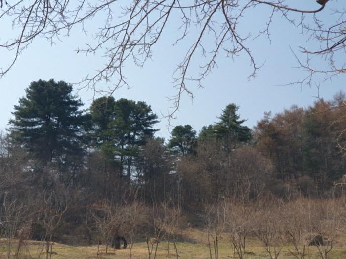 사진 06