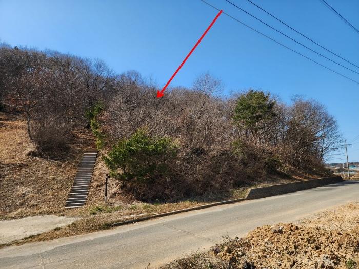 사진 07