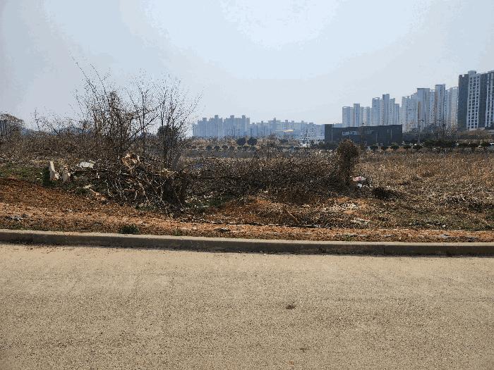사진 06