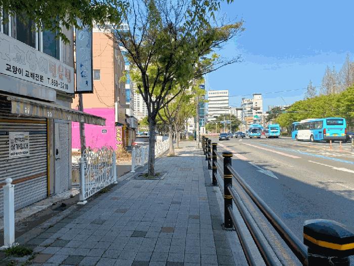 사진 03