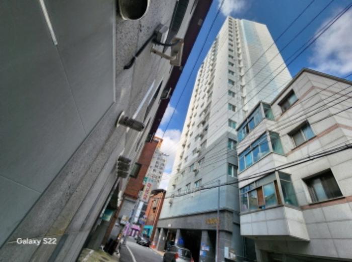 사진 08