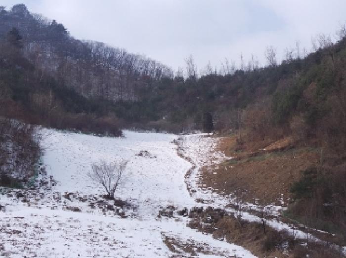 사진 07