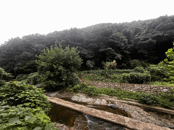 사진 06