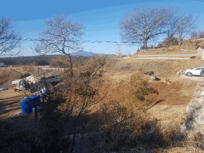 사진 01
