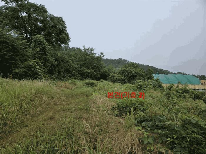 사진 03