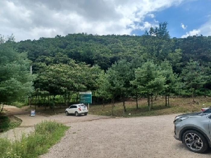 사진 01