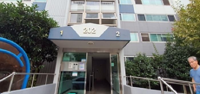 사진 06