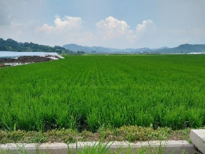 사진 01
