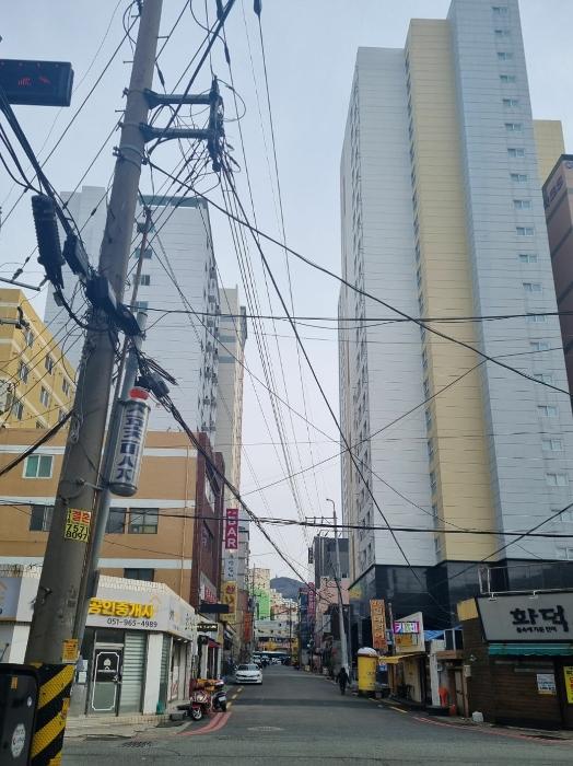사진 03
