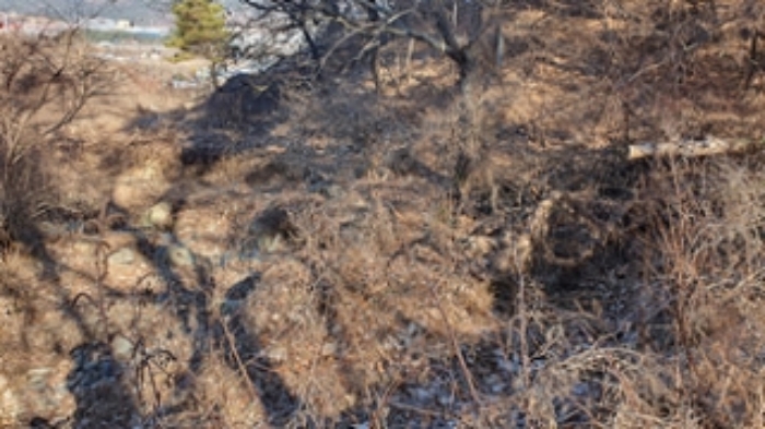 사진 02