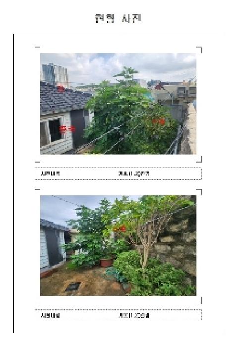 사진 03