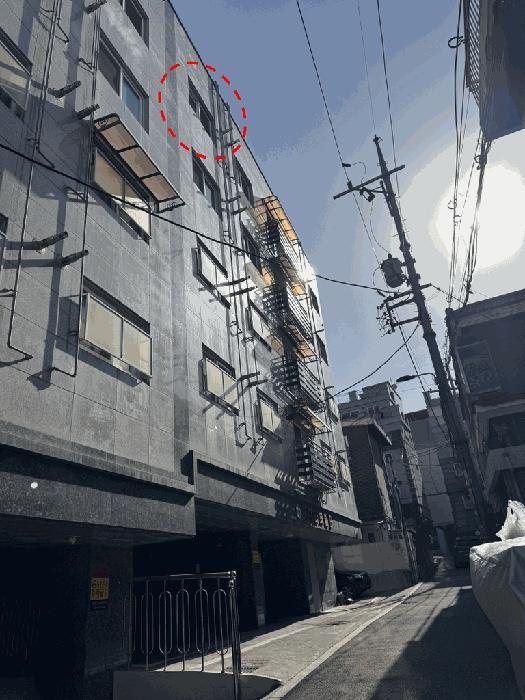 사진 01