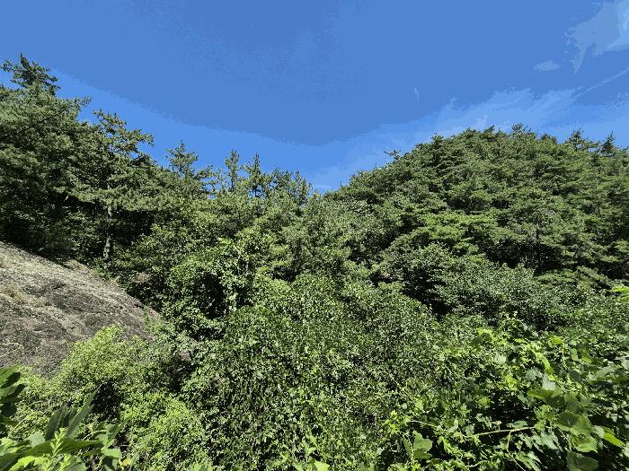 사진 01