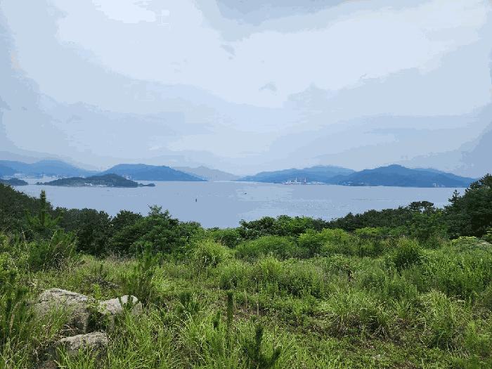 사진 02