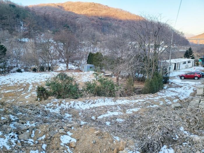 사진 06