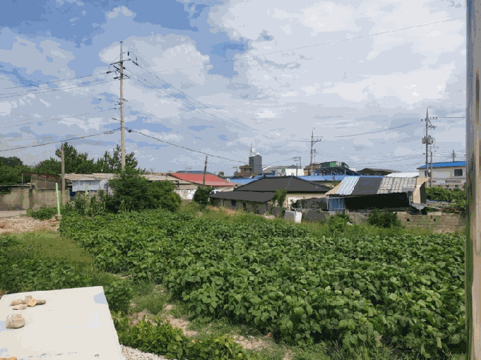 사진 06