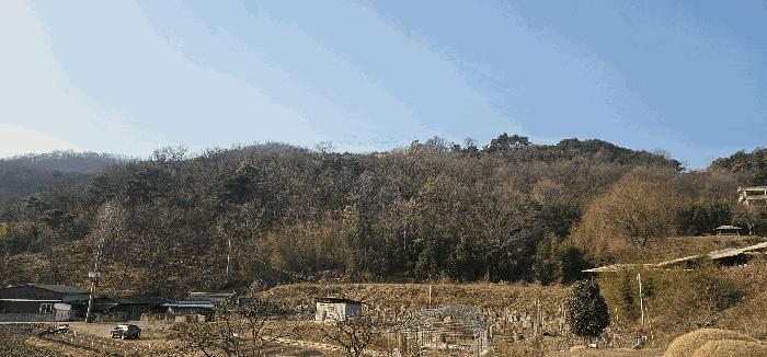 사진 03