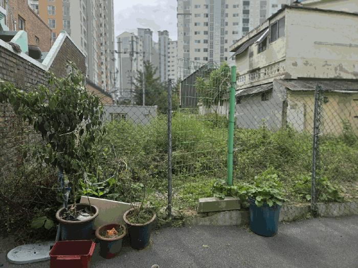 사진 06
