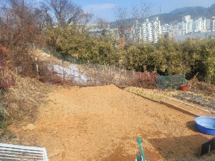 사진 08