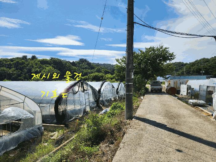사진 08