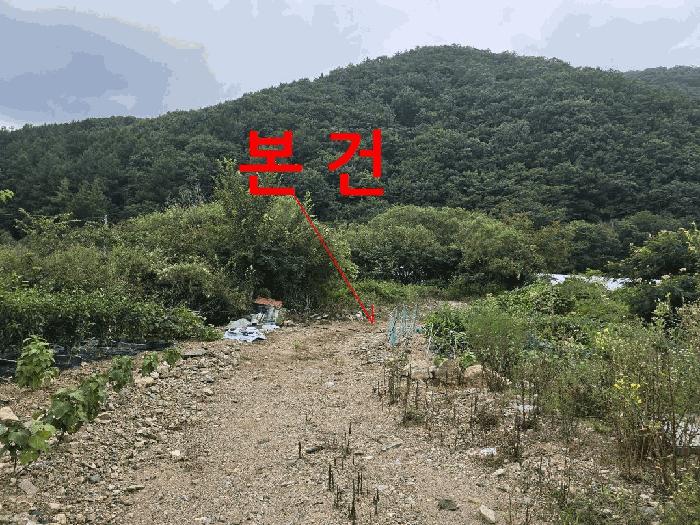 사진 06