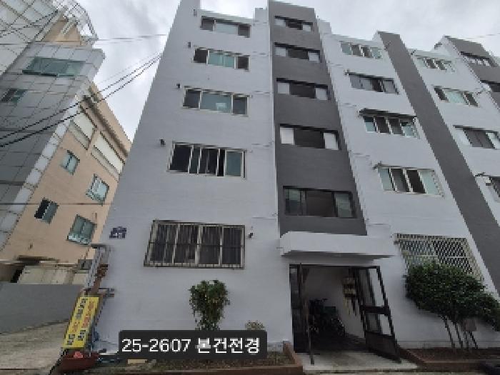 사진 05