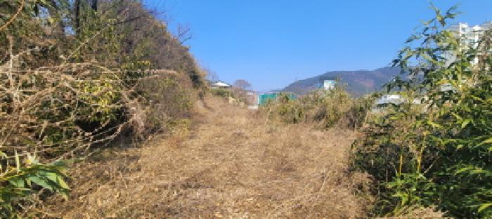 사진 07