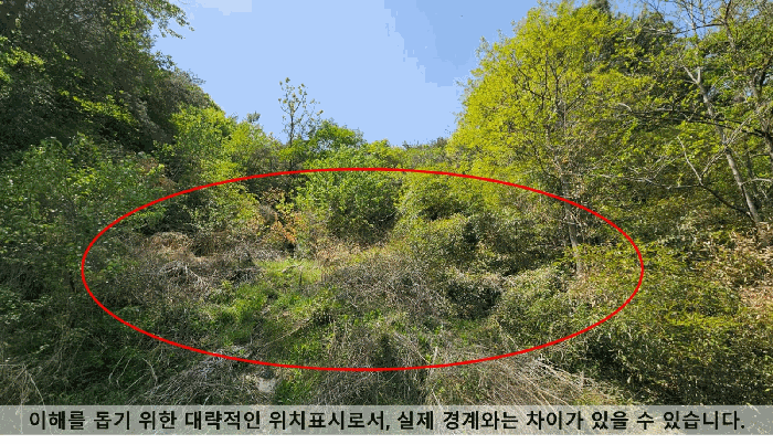 사진 08