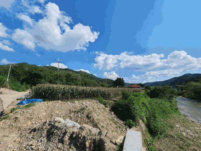 사진 06