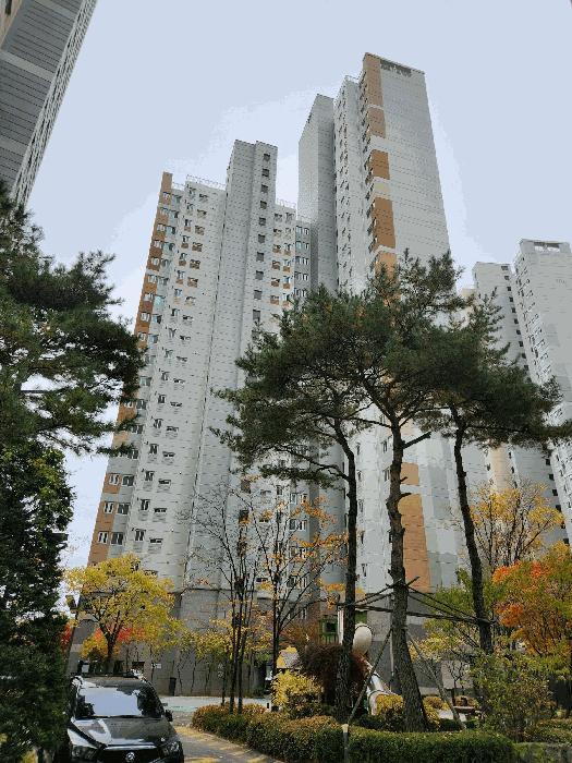 사진 03