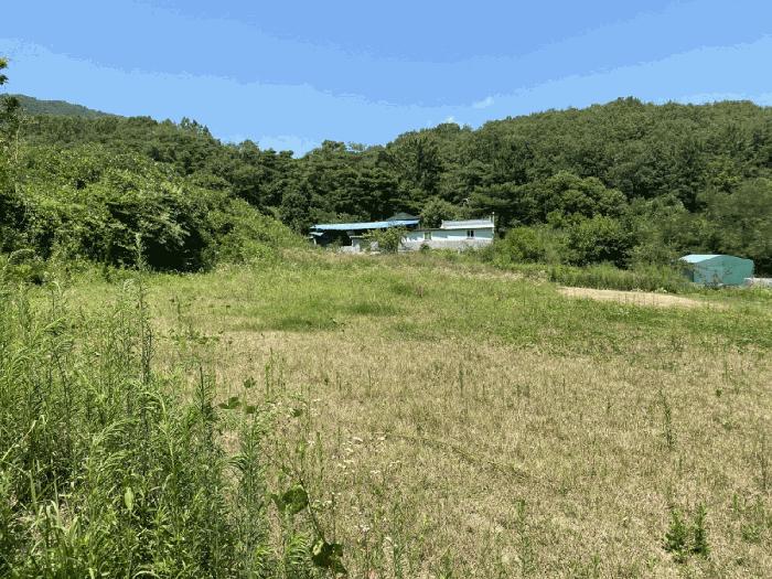 사진 07