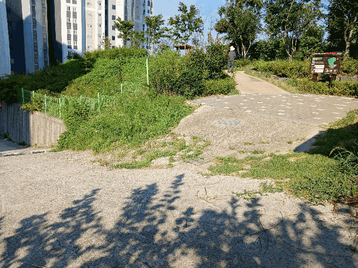 사진 06
