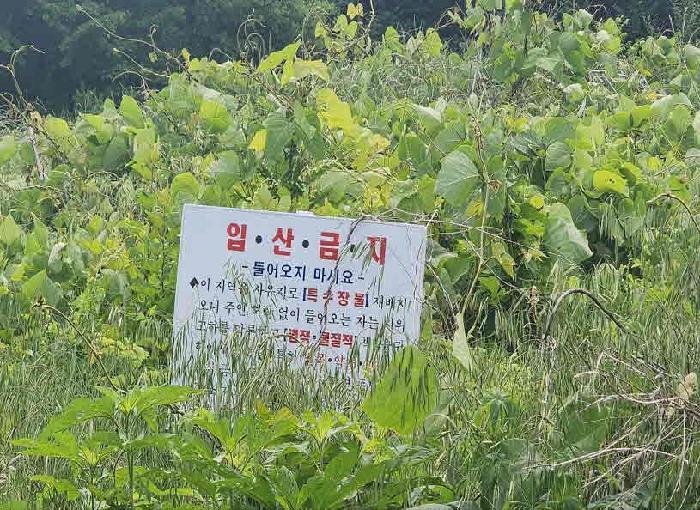 사진 07