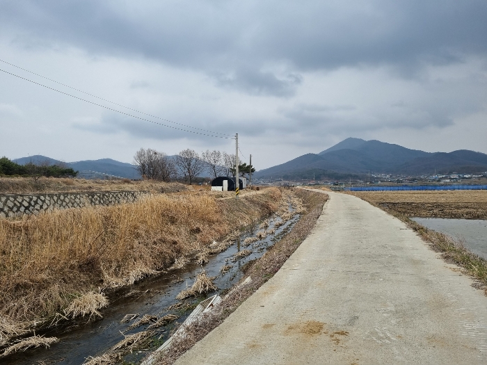 사진 03