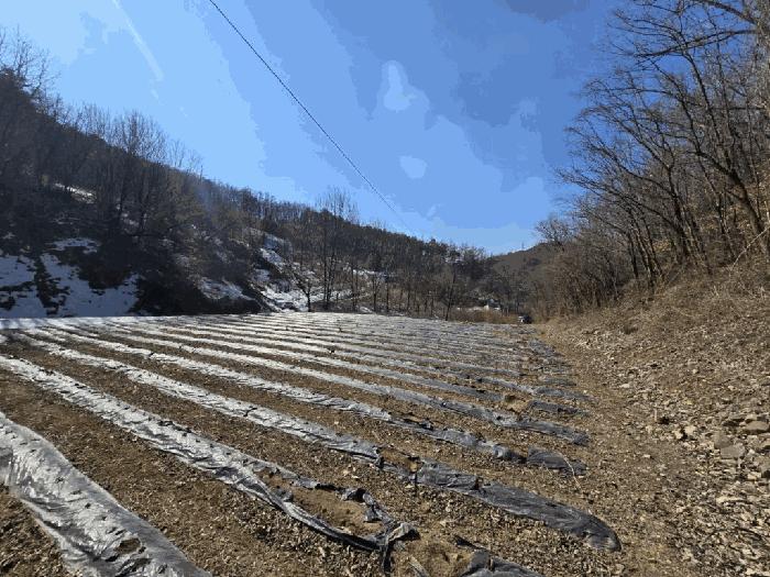 사진 02