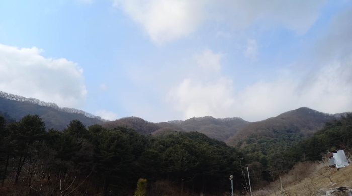 사진 05