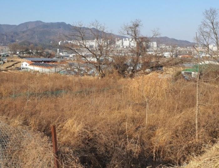 사진 08
