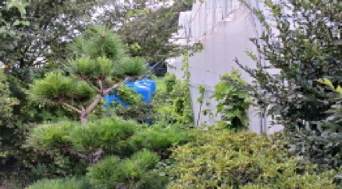 사진 08
