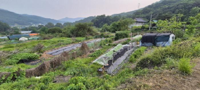 사진 07